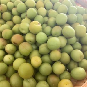 自然栽培・無農薬 紀州南高梅の梅干し作りキット 2kg